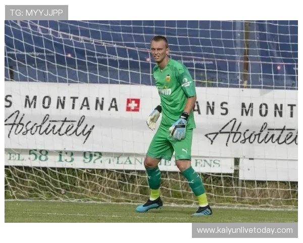 瓦伦西亚俱乐部宣布签约新援强化阵容力争下赛季突破前六