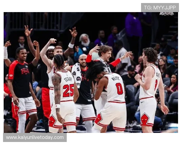 NBA公牛新赛季阵容全面升级能否重返东部强队行列